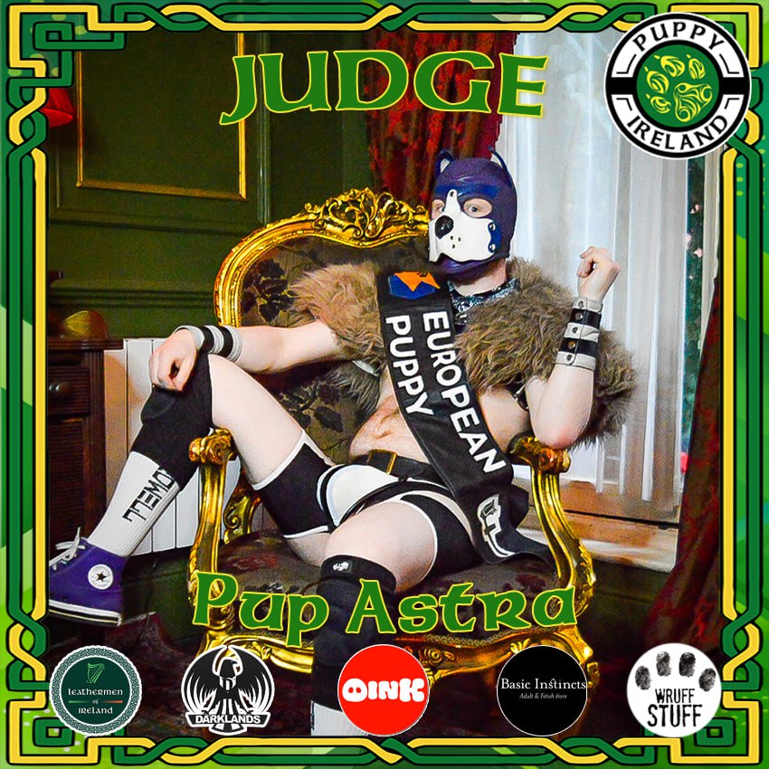 PupsOfIreland's tweet photo. Introducing #PuppyIreland2025 Judge - Pup Astra!
#DLW2025 #PaHI #PuppyIreland https://t.co/5UG5torxI8