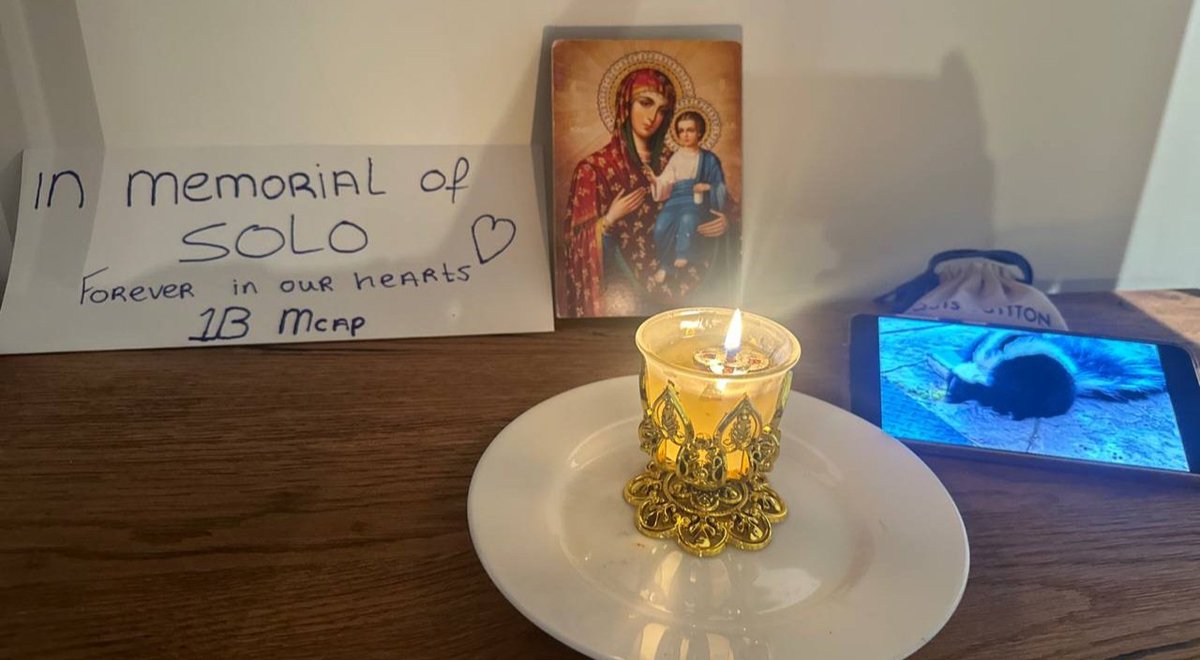 frenlee1234 tweet media