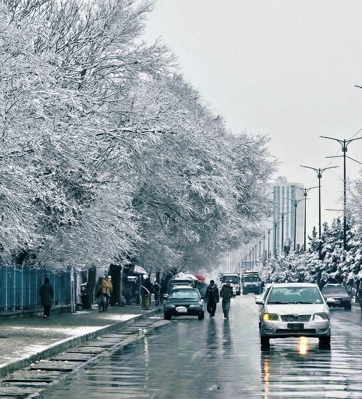 When it is snowing in Kabul city.

Mesmerizing!