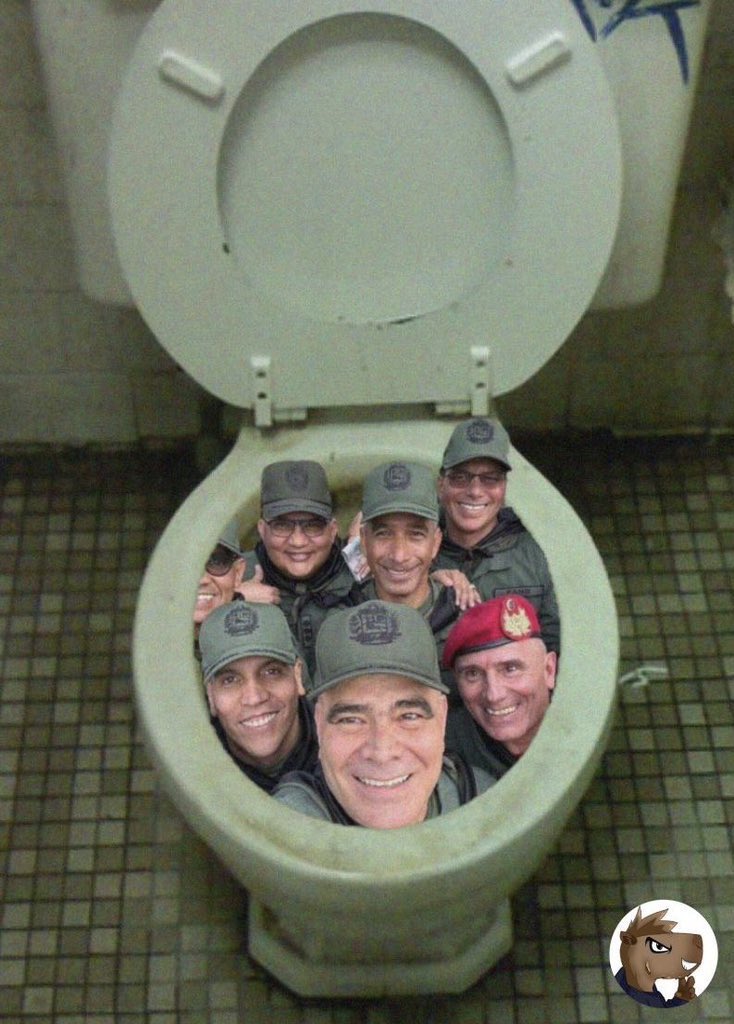 Después de liberar a medio continente, para lo que quedaron nuestras “Gloriosas” Fuerzas Armadas. No hay poceta que aguante tanta 💩