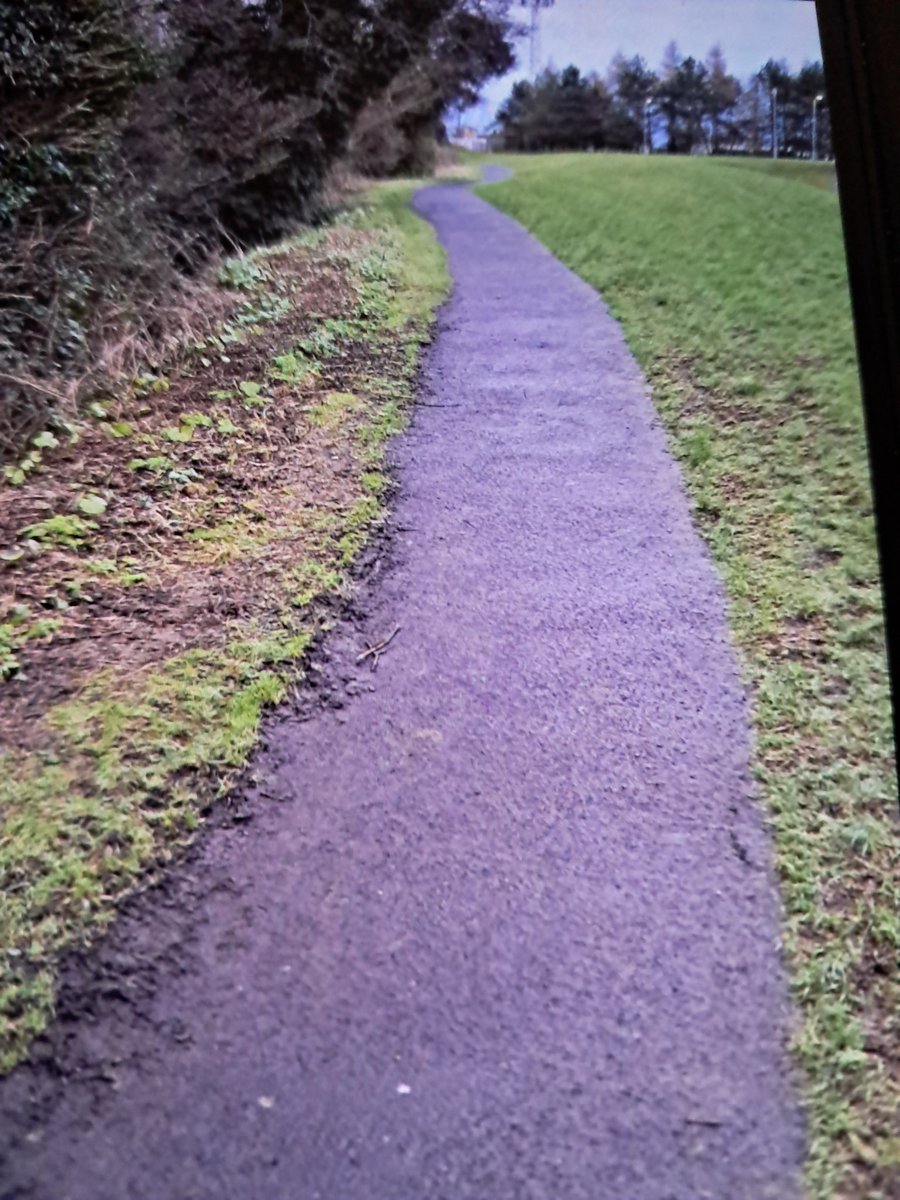 Tommy owens tweet media