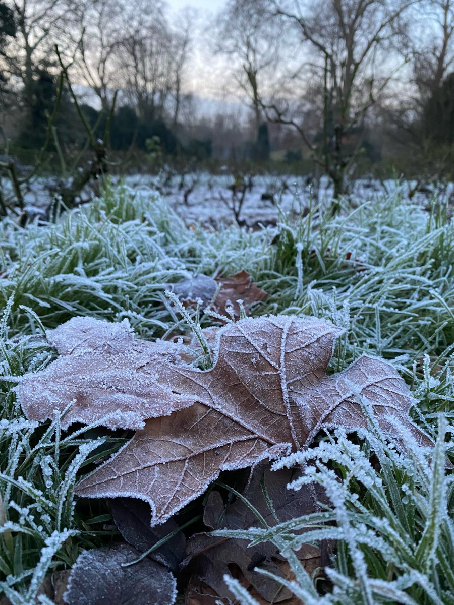 A frosty evening in central London…