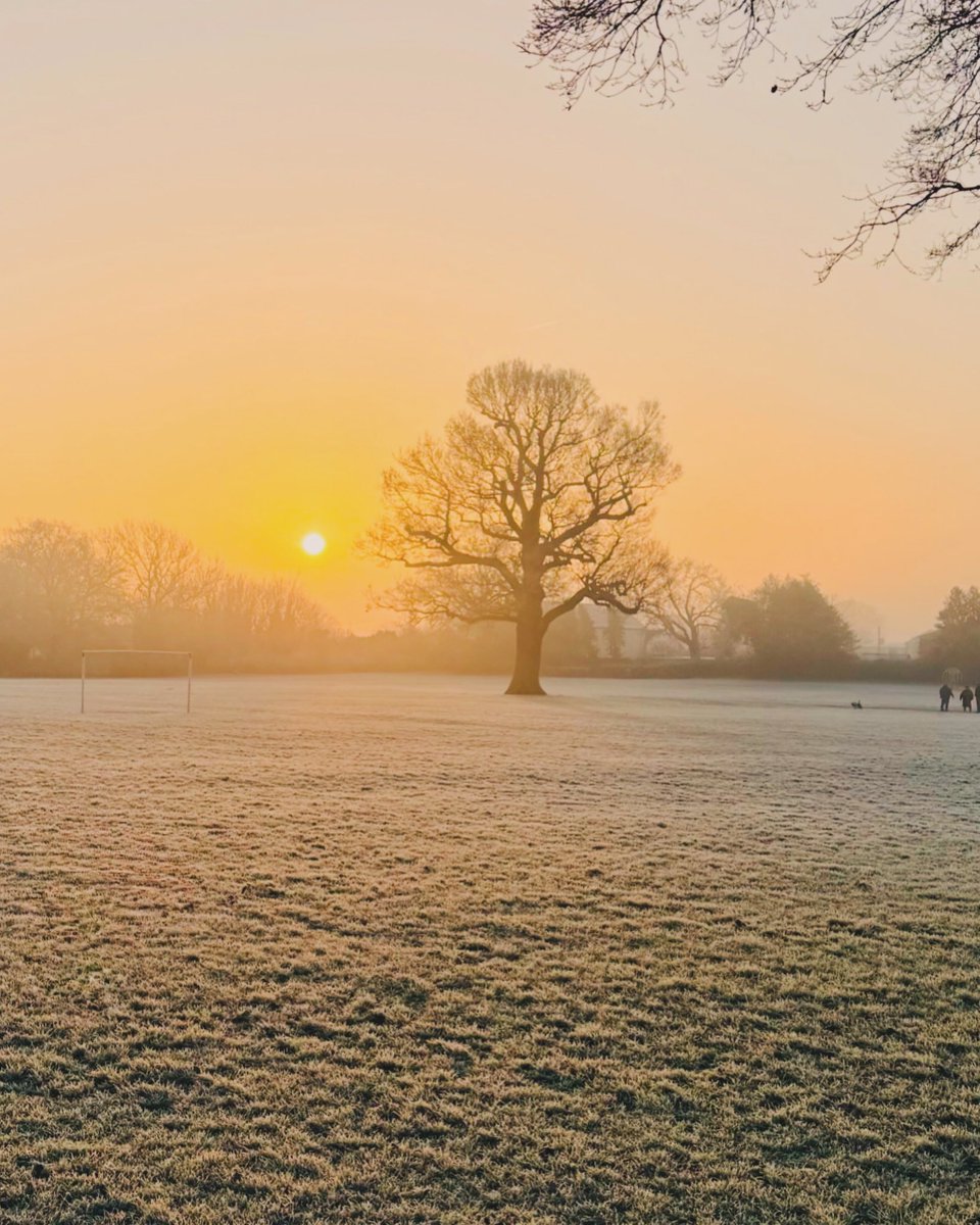 A frosty dog walk this morning.