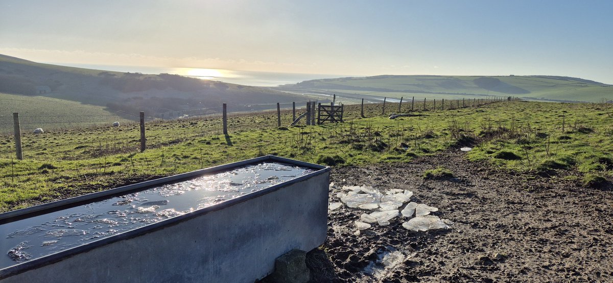 CPFC J (@cpfcjc) on Twitter photo A couple from the <a href="/SevenSistersCP/">Seven Sisters Country Park</a> after a walk from the @longmanbrewery over the <a href="/sdnpa/">South Downs National Park</a> ..... the non snow covered side. #nature A couple from the <a href="/SevenSistersCP/">Seven Sisters Country Park</a> after a walk from the @longmanbrewery over the <a href="/sdnpa/">South Downs National Park</a> ..... the non snow covered side. #nature