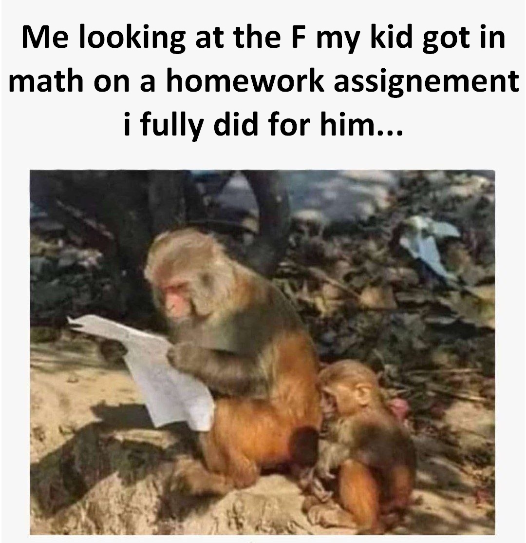 Ape.Store | Memepad on Base tweet media