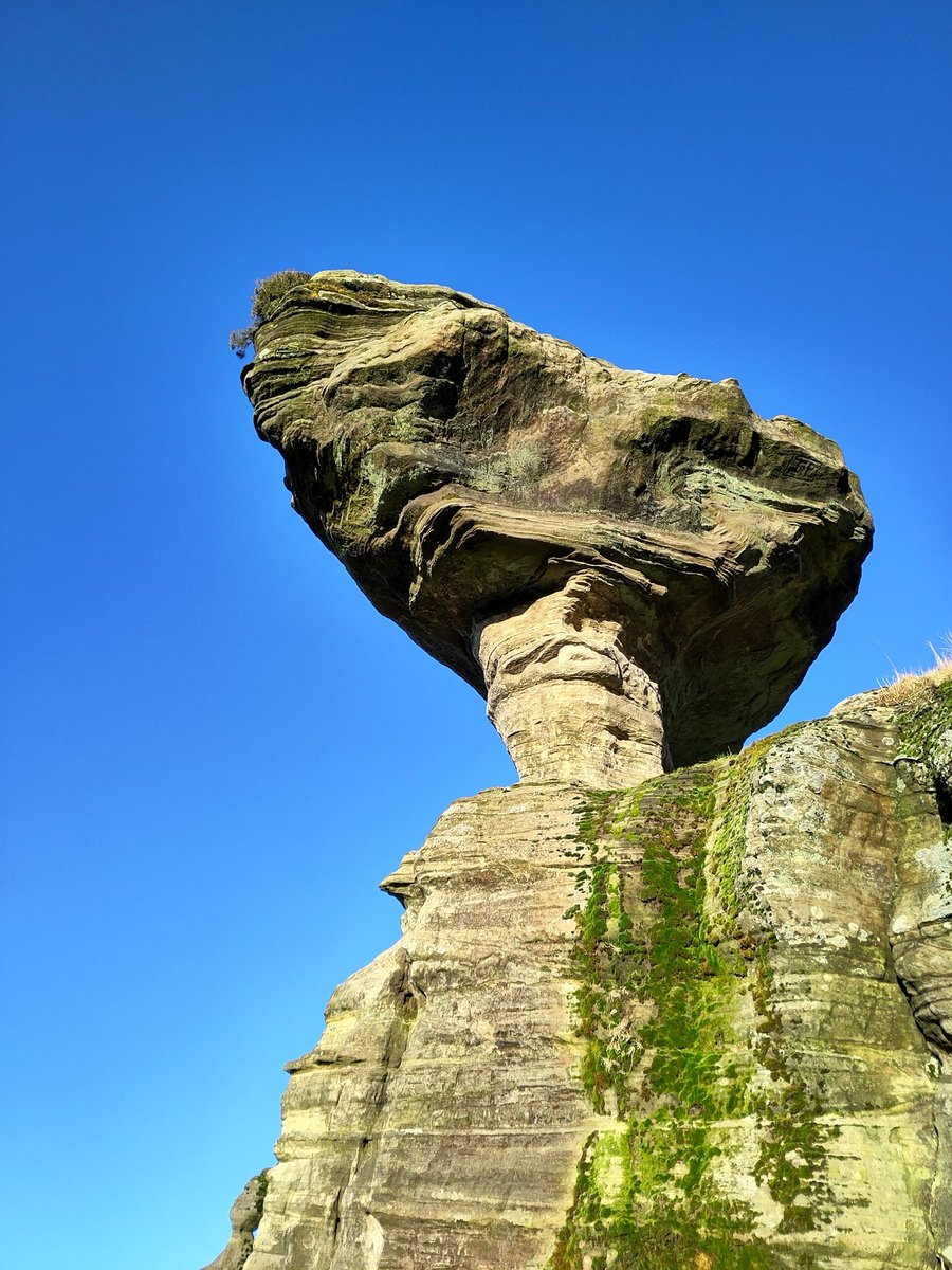 George Park tweet media