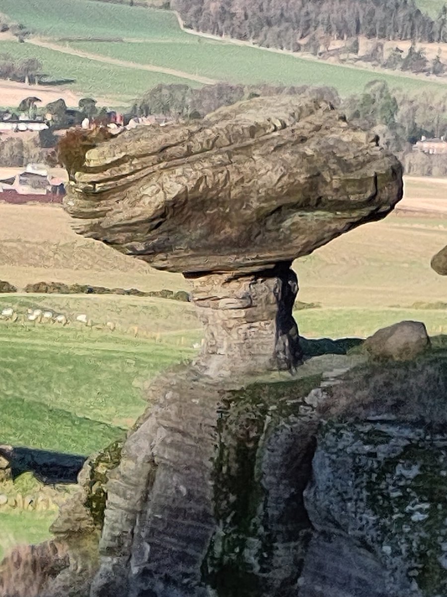 George Park tweet media