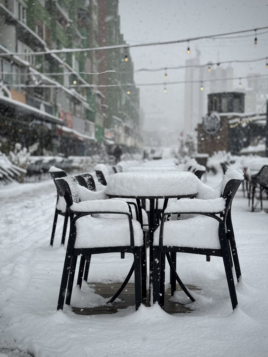 Vegim Rashiti tweet media