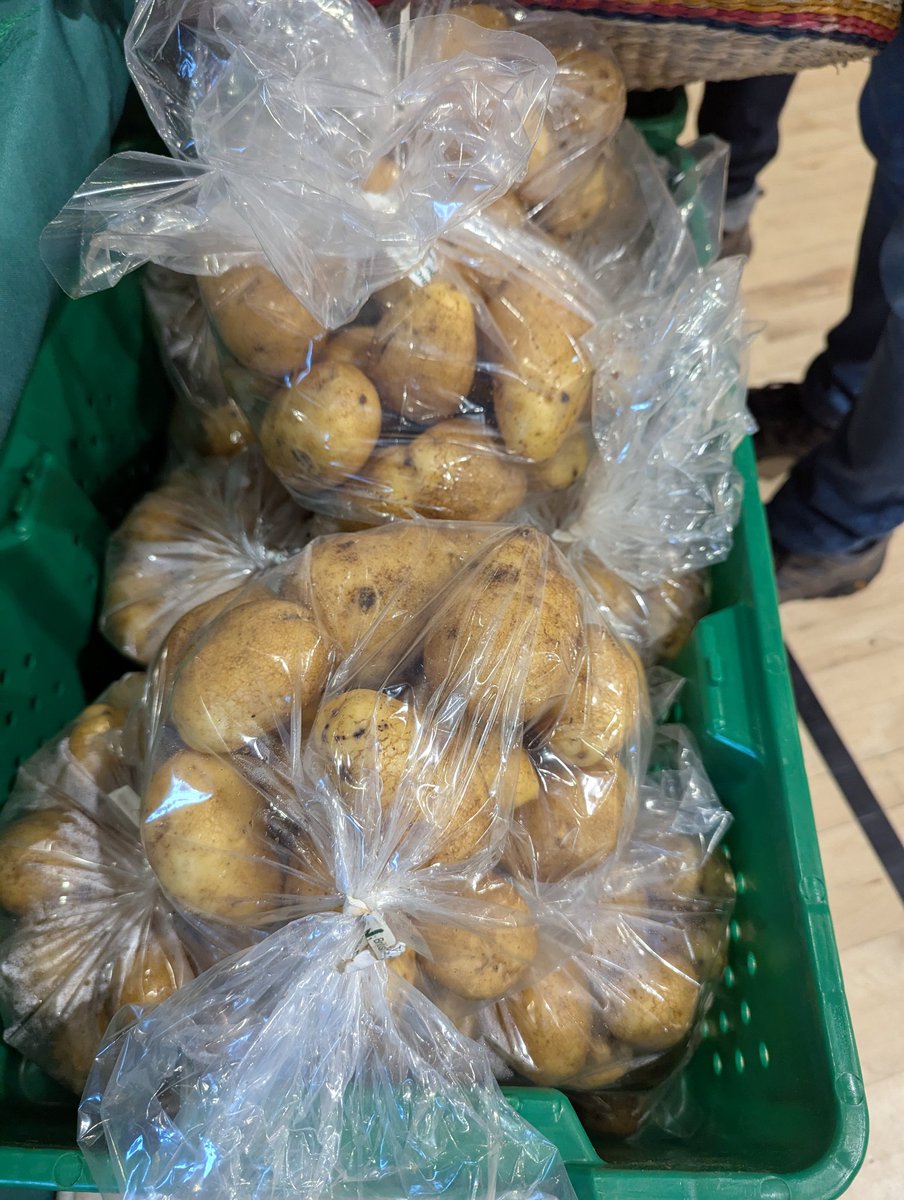 We are super excited about our first market of 2025 happening now  at the Native Sons Hall.

We are grateful that we live in a place where we can have fresh produce all year round - even in January.

Come on down and get your local on.  We are open every Saturday from 9-1.