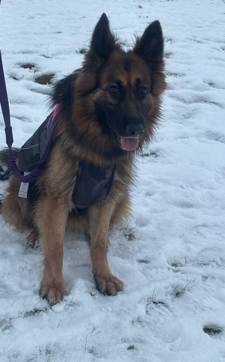 Mark Storie tweet media