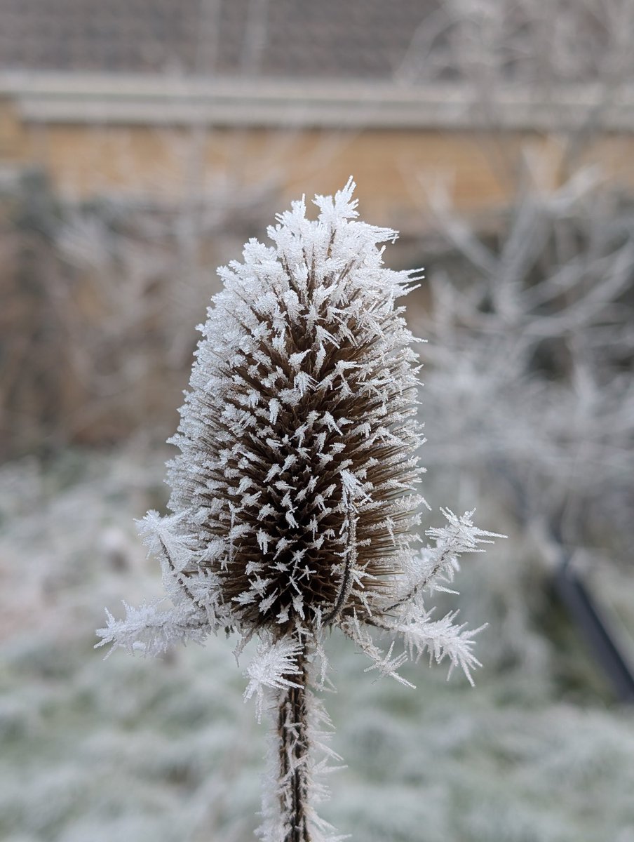 AshGilmour1's tweet photo. 2+ days of below freezing+ fog creates the beautiful picturesque scenes https://t.co/qCeGF0dCzh