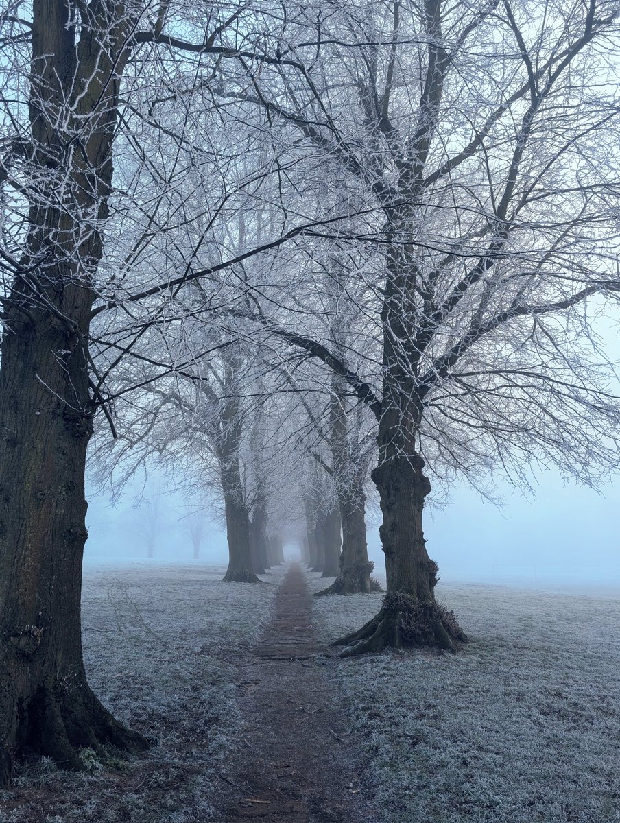 AshGilmour1's tweet photo. 2+ days of below freezing+ fog creates the beautiful picturesque scenes https://t.co/qCeGF0dCzh