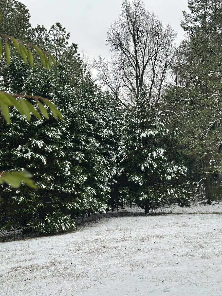 LeadtheMasses's tweet photo. ❄️ Snowy Farm Life ❄️ 
Happy Saturday, everyone! Went for a short hike to the pond today. Came across some deer tracks and Koda got excited.  I love my backyard &amp; being a country girl ❤️
#DeerTracking 
#OutdoorCountryGirl
#MyBackYard #WinterWonderlandHike https://t.co/DqliK8oczu