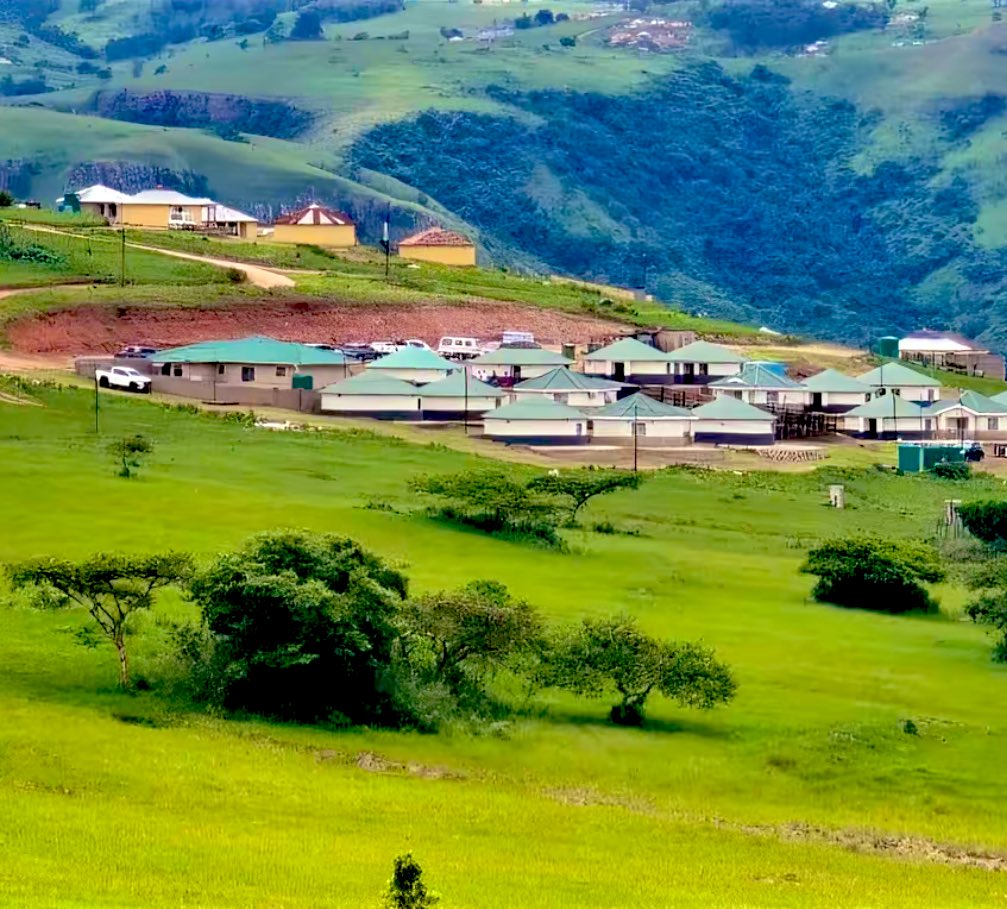 Siboniso KaMabaso tweet media