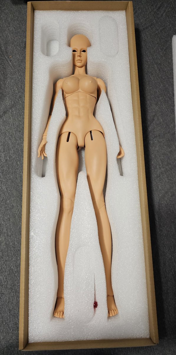 YumekoAsagiri's tweet photo. So many delays but Jeena is finally here!
(Still needs a faceup and I think I'll go down one size on the eyes)
#JeenaMalso #ADPolice #バブルガムクライシス https://t.co/9N7PESVMmc