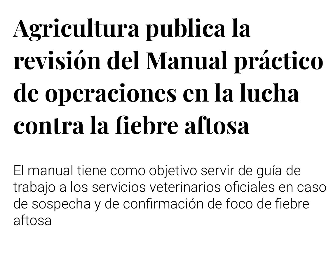 Camino Limia tweet media