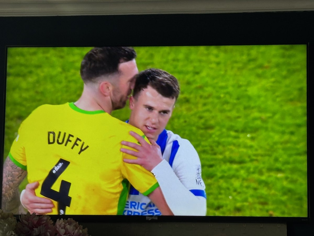 We all love Shane Duffy <a href="/irish_seagulls/">Irish Seagulls 🟩⬜️🟧</a> 
Absolutely delighted that Solly is back with a cracker
2 legends together UTA💙🤍💙🤍