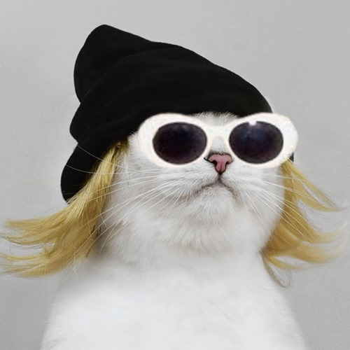 D. ꓘΞK tweet media