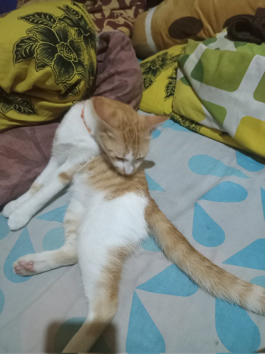 Weiy.. Apa kau liat2