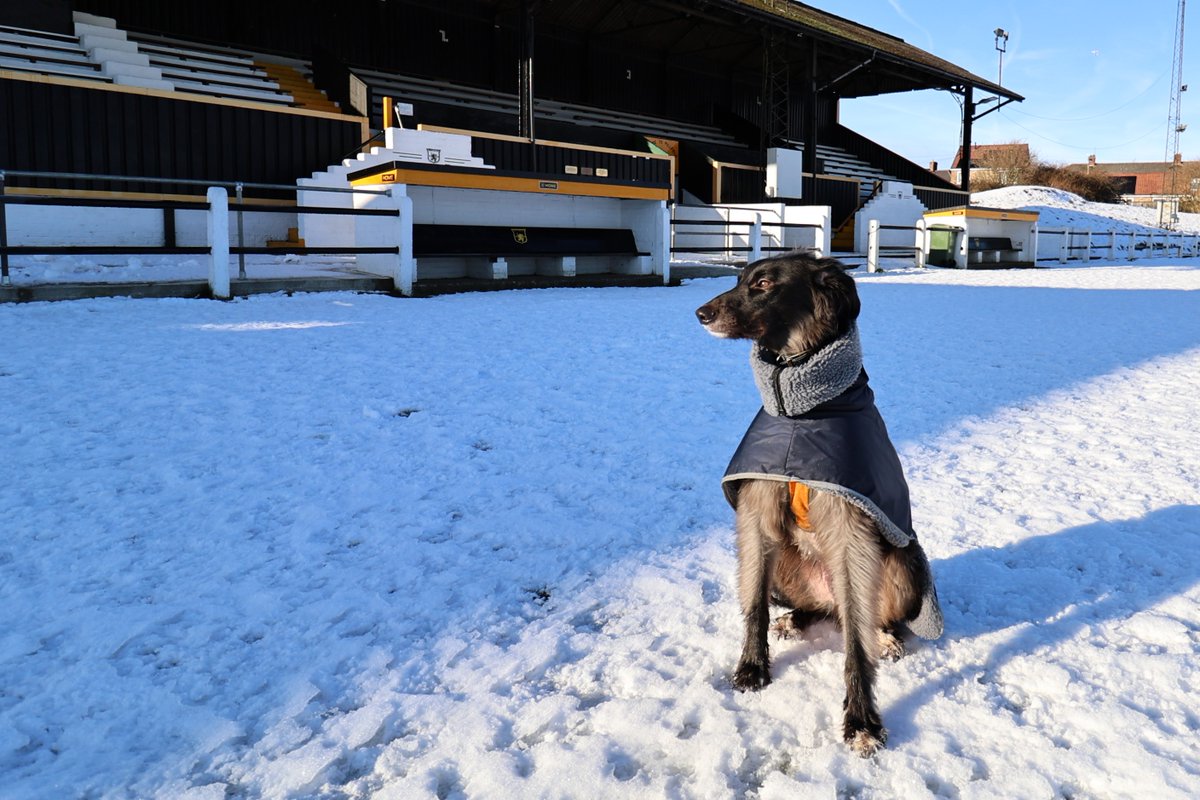 MillfieldMurphy's tweet photo. Working on my Pitch Inspection training today - apparently my assessment that the @crooktown_afc  pitch would be playable if it was match day was a bit optimistic and I still have work to do. https://t.co/WTTaliTZNF