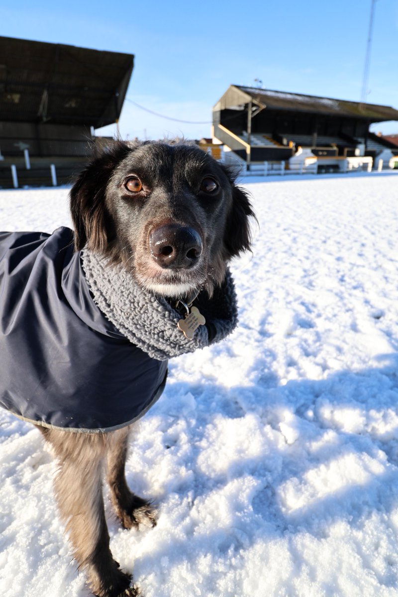Working on my Pitch Inspection training today - apparently my assessment that the <a href="/crooktown_afc/">Crook Town AFC 🖤💛</a>  pitch would be playable if it was match day was a bit optimistic and I still have work to do.