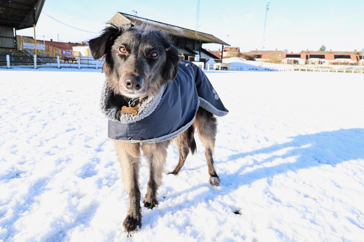 MillfieldMurphy's tweet photo. Working on my Pitch Inspection training today - apparently my assessment that the @crooktown_afc  pitch would be playable if it was match day was a bit optimistic and I still have work to do. https://t.co/WTTaliTZNF