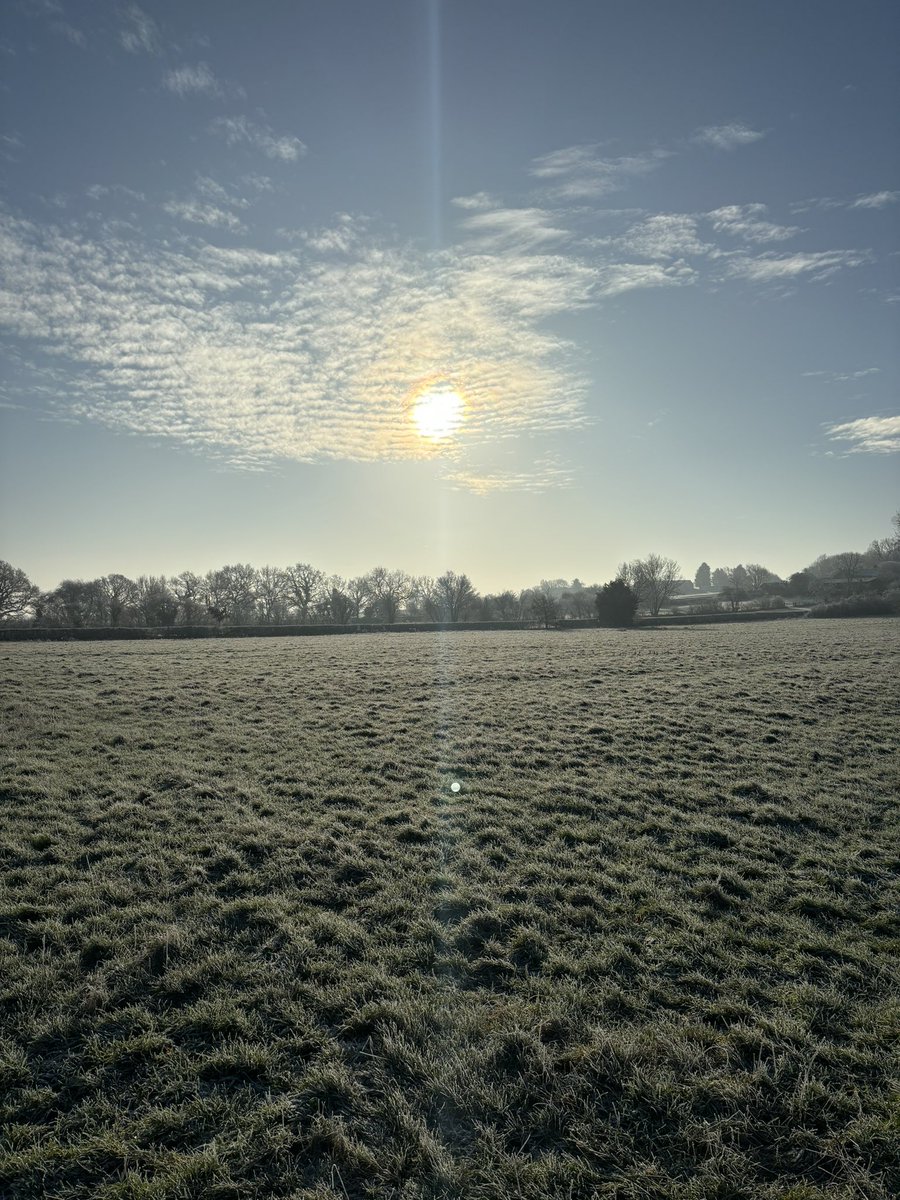 GabiOtim's tweet photo. Winter sun ☀️ ❄️ #weekend https://t.co/l7ma5uA1dJ