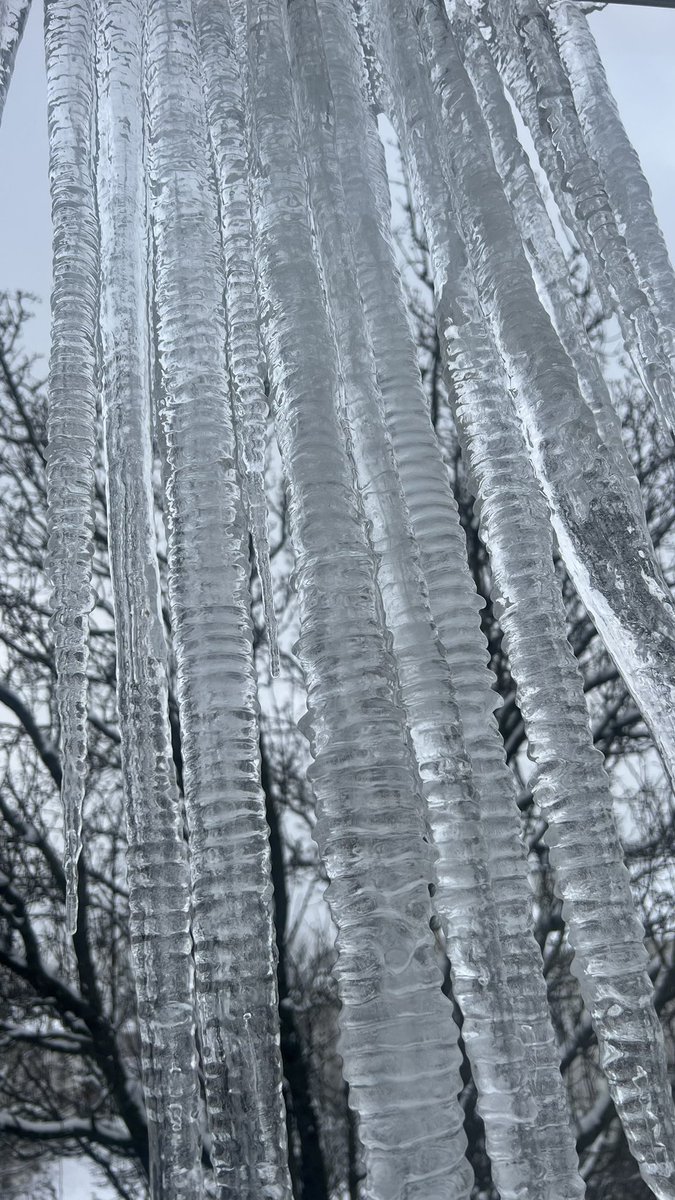 Trance Farm tweet media