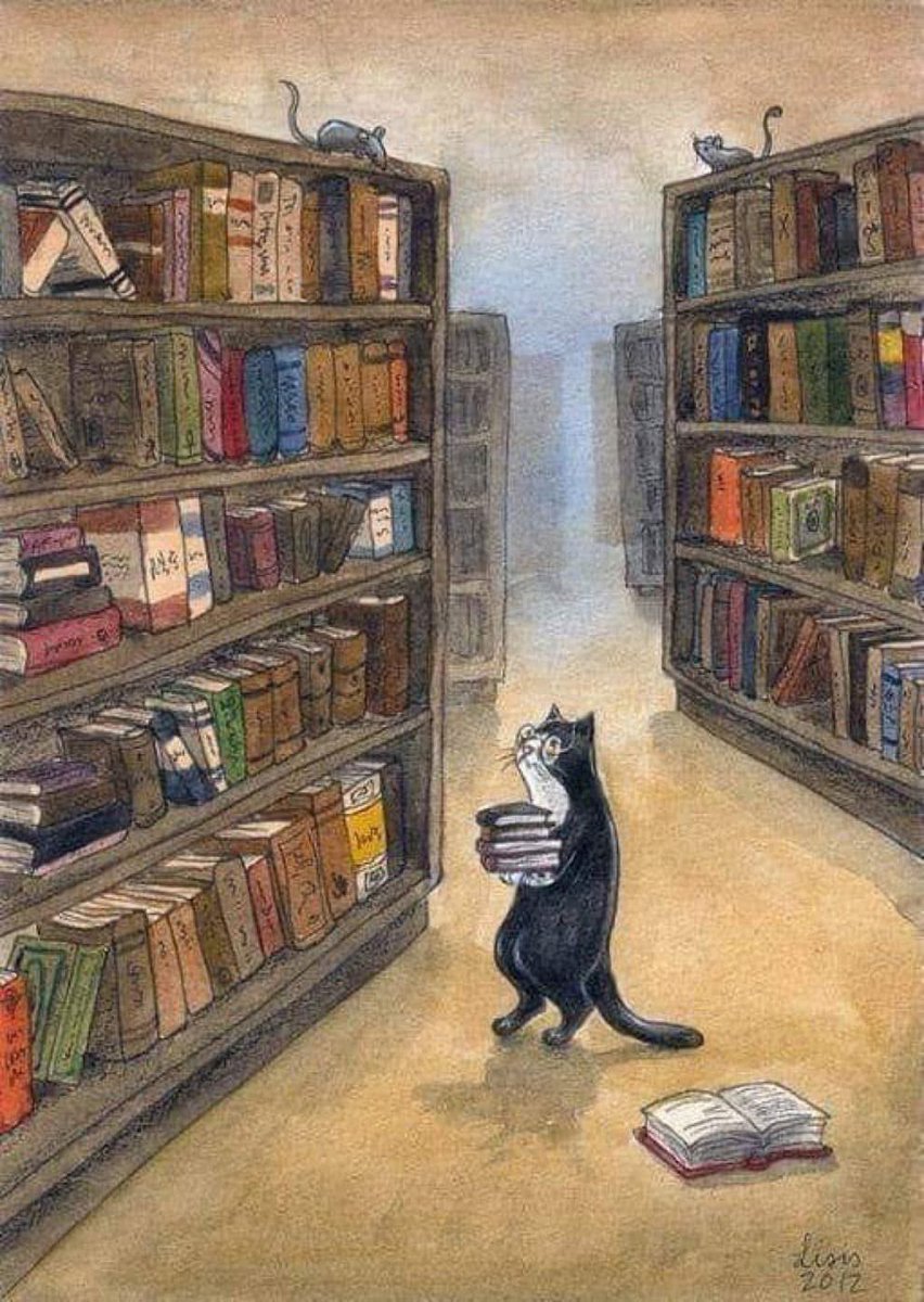Good Caturday morning,  
 I recently saw something that concerned me. I cherished the days of taking my daughters to the library and think I should return myself. “Nowadays, gyms are crowded while libraries are empty. We have many fit people but nothing to say.”📖📱💪🏼🙀