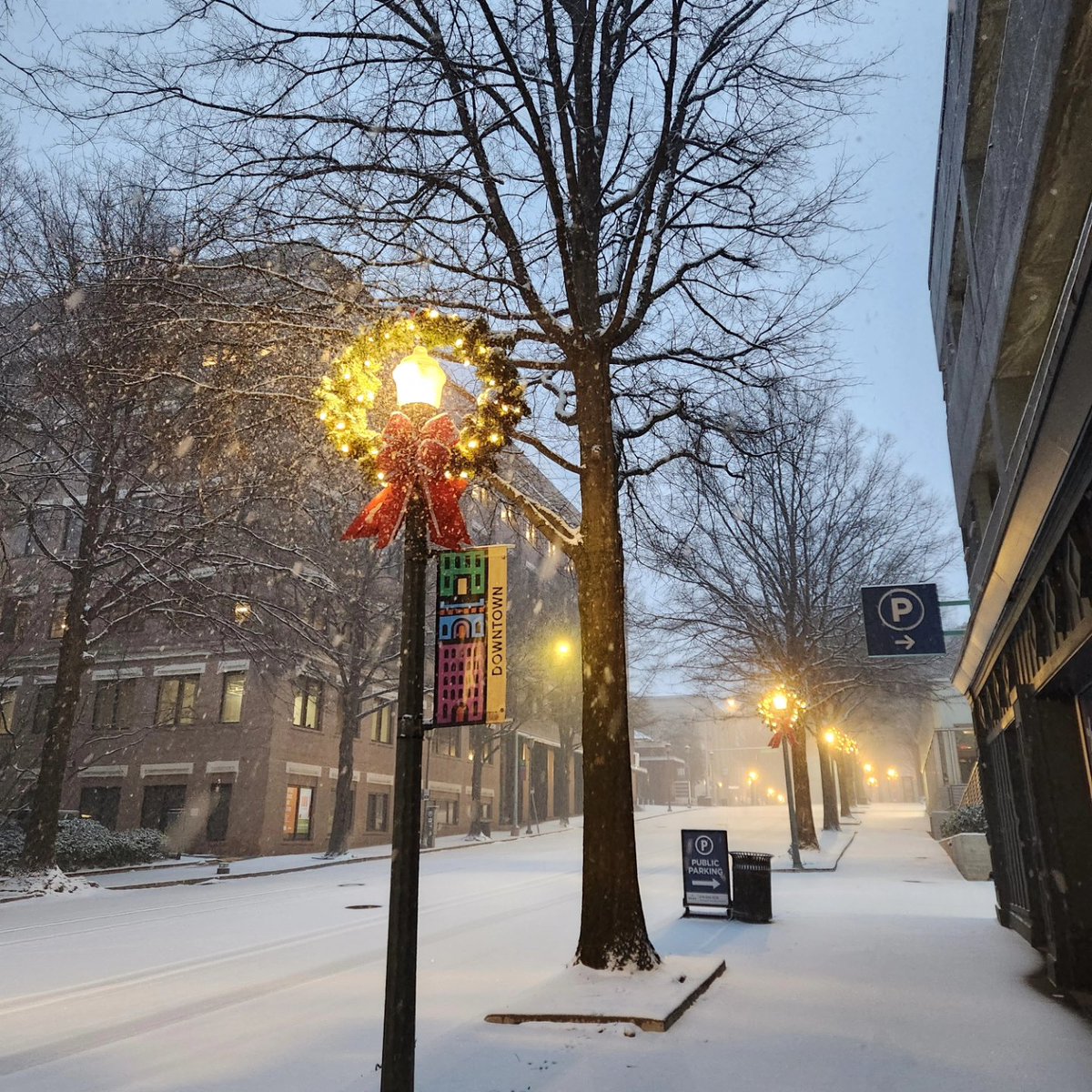 Rachel Ciprotti tweet media