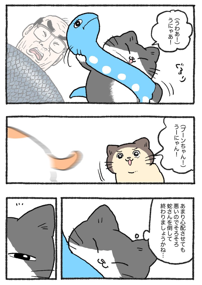 ねこおじ様 ねこに転生したおじさん。その628 ⚠️画像3枚あります⚠️