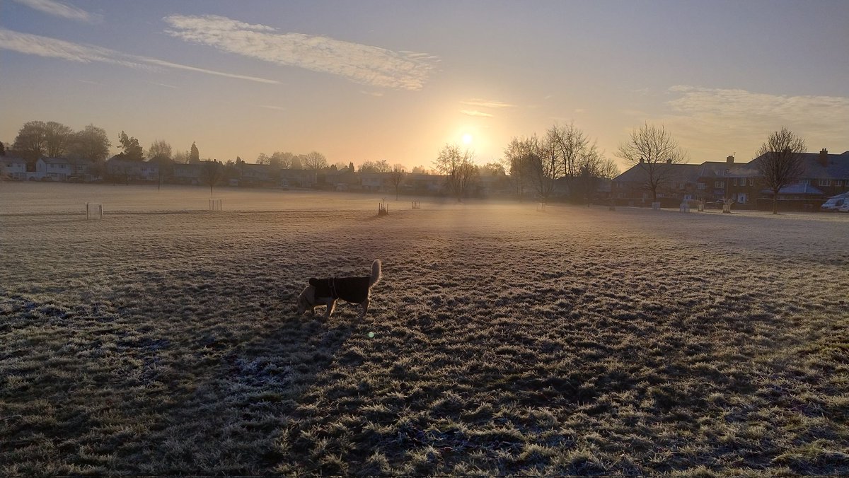 kitteridge_lisa's tweet image. So cold even the postbox topper was frozen!

Beautiful ☀️ &amp;amp; blue skies 💛💙 I&apos;ll take this 🥶❄️ over grey rain any day.

Short outing for Luca, but me &amp;amp; Cooper went a bit further. And typically we saw only 1 dog. Always the way. If we&apos;d taken Luca we&apos;d have seen 15!

#reactivity