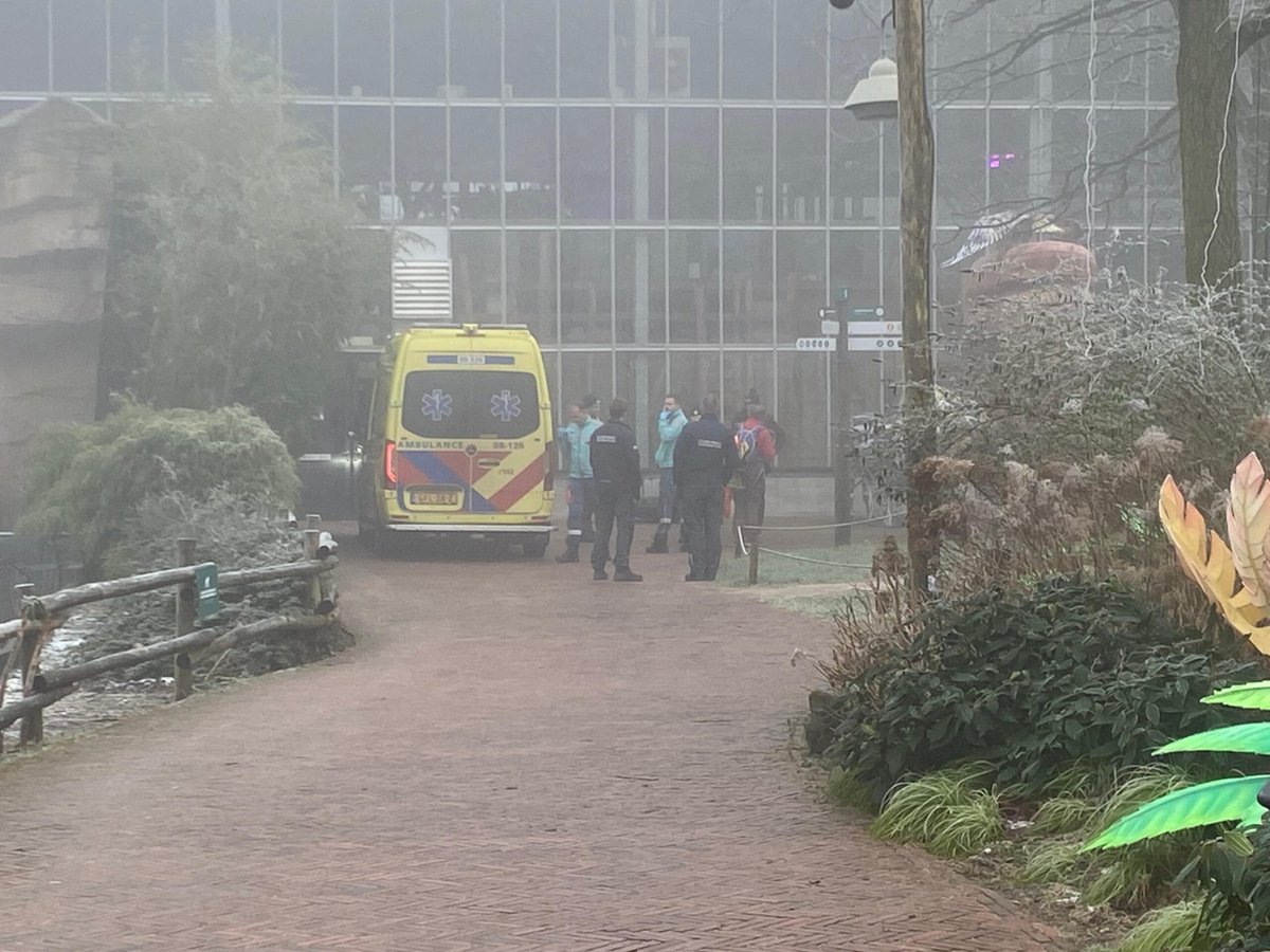 Parachutist belandt in apenverblijf Ouwehands Dierenpark