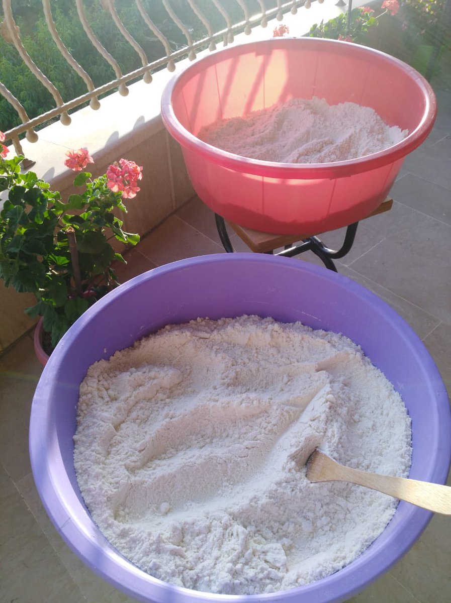 أبيض من الثّلج كشك إمّ جمال ! 🥰