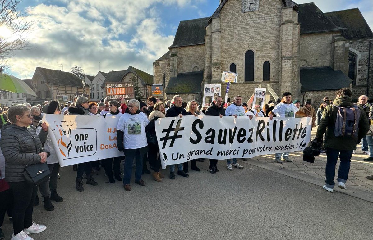 Adrien__Mary's tweet photo. Cet après-midi se tient la marche blanche pour Rillette, organisée par l’association des commerçants de Chaource. 
Un grand merci pour votre présence ! On continue avec le #sauvezrillette 
On vous raconte tout lundi sur @RTLFrance #CPVA https://t.co/nDpEvg224z