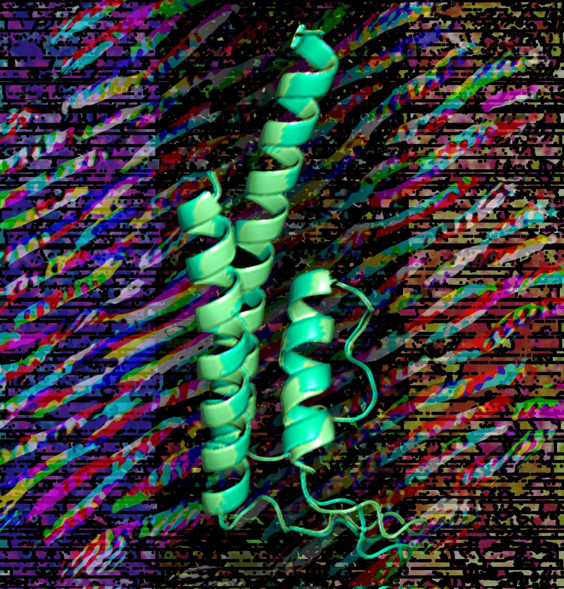 KiwiSoggy's tweet image. hai im kiwi :3 shitposter of bio/ML/coding, trains models develops games and makes art sometimes. really into uses of AI in modeling transcriptional regulation
soggykiwi.itch.io
CW: SH, drug use, and boobs