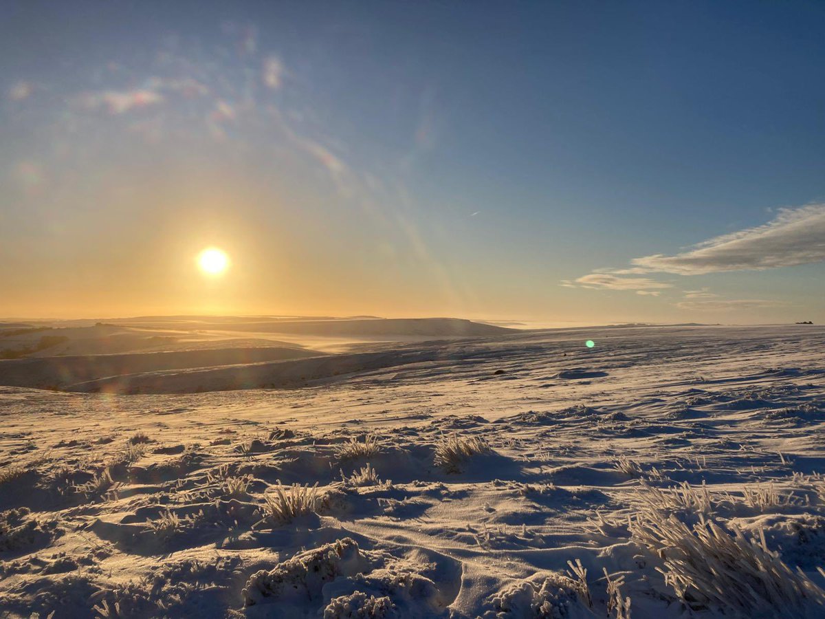 Conor Moss tweet media