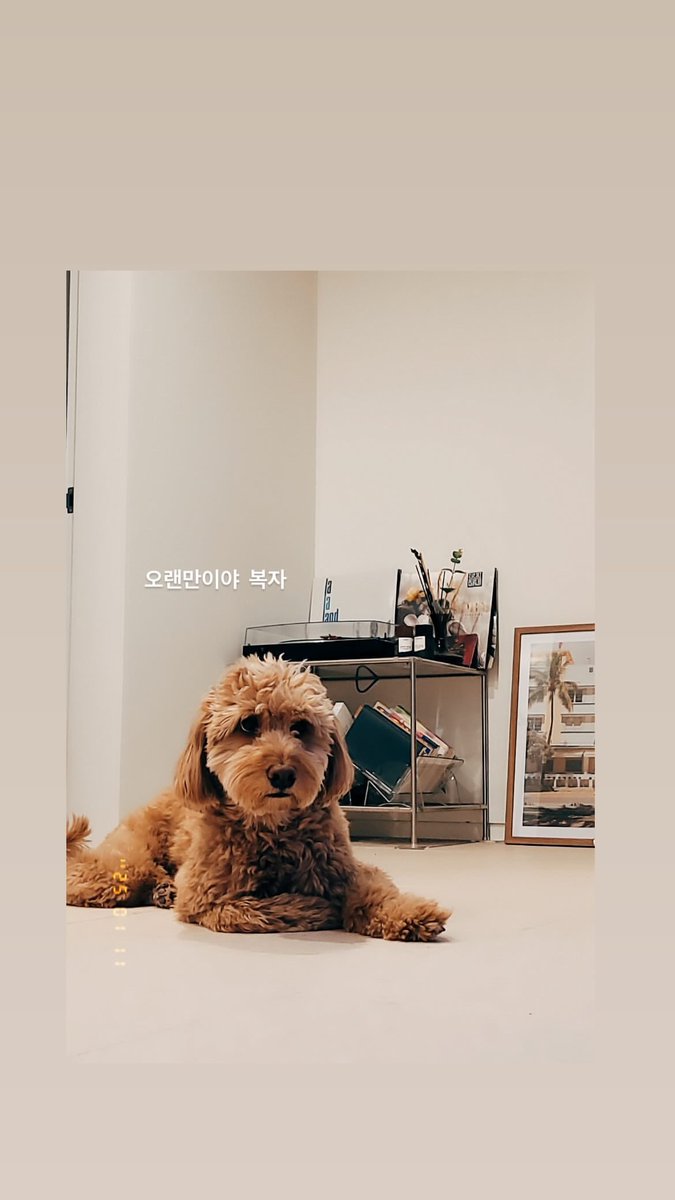 Laika_0429's tweet photo. 홍기원 감독님 IG 스토리

ㄲㅑ🤎 https://t.co/g4rftfAfE2