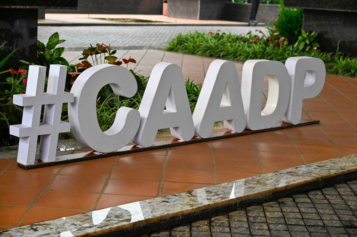 President Museveni, alongside fellow African Heads of State, launch the #AfricaCoffeeFestival at the #CAADPKampala25 Summit. The festival is slated for October 10–12, 2025, at the Africa Coffee Park.

#OneLandOneVoice #Agenda2063