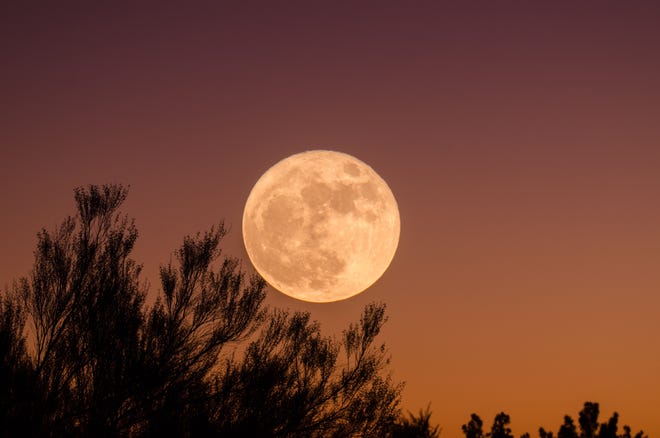 narottamsahoo's tweet photo. In 2025, the sky gifts us 12 full #moons, the fest one on 13 January, 3 breathtaking #supermoons - Oct, Nov and Dec, and 2 mesmerizing #lunareclipses - a celestial celebration of nature's beauty and wonder.

While the March 14 lunar eclipse will remain hidden from #India, the September 7–8 eclipse will grace our skies, reminding us of the magic above.

Let each #moonlight moment #inspire us to grow, shine through #challenges, and reach for #greatness. The universe is infinite, and so is our potential.