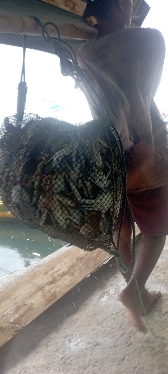 Darius Maloring tweet media