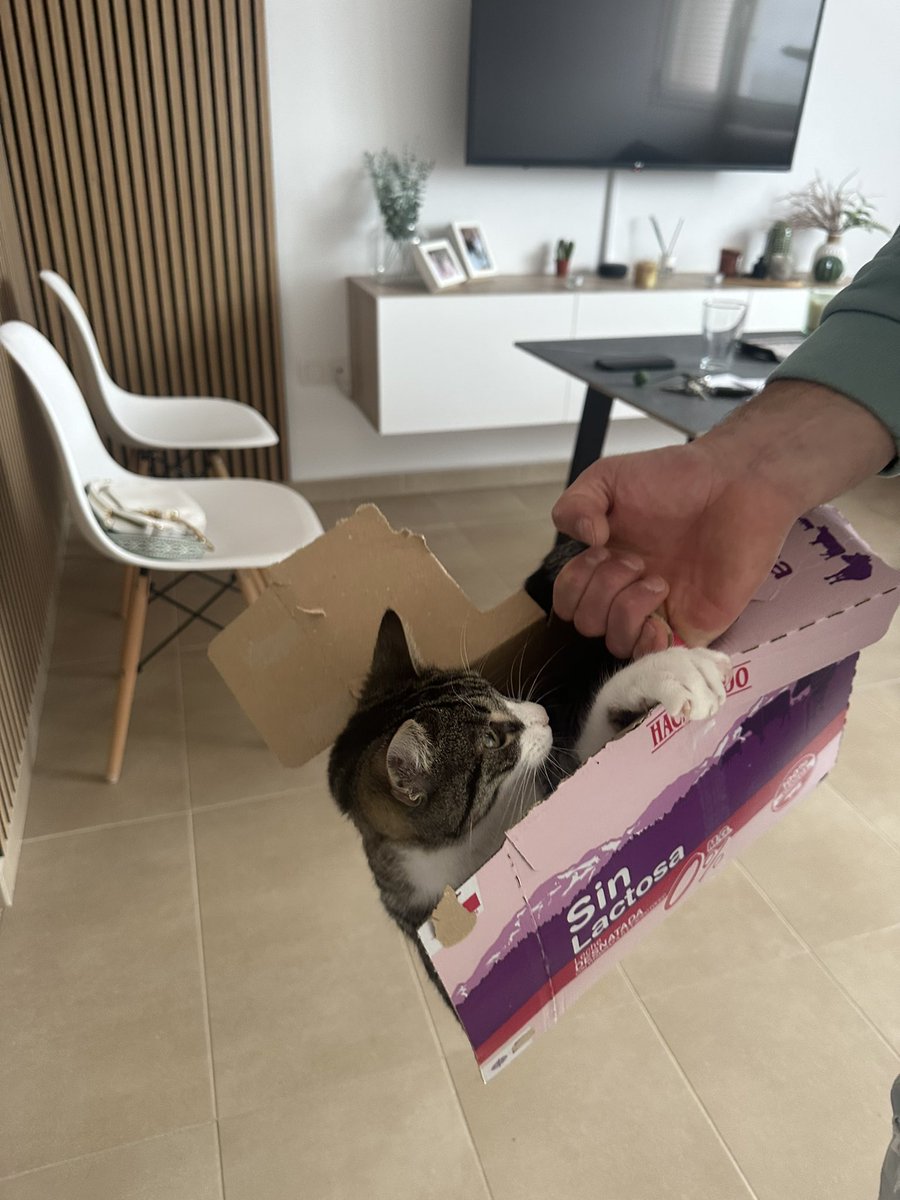 Mariacr24's tweet photo. @Mercadona esto venía en mi caja de leche, es normal? https://t.co/pv1ny8Ck62