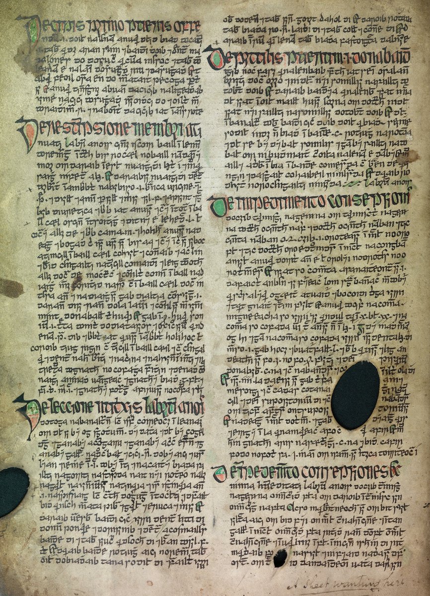Deborah Hayden (@dhaydenceltic) on Twitter photo The LEIGHEAS project Medical Manuscript of the Month series is back for another year! Our January 2025 entry is <a href="/Library_RIA/">Royal Irish Academy Library</a> MS 23 F 19, containing an original Irish treatise on anatomy, an Irish version of the Trotula texts on women’s medicine & more👇
leigheas.maynoothuniversity.ie/leigheas-manus… The LEIGHEAS project Medical Manuscript of the Month series is back for another year! Our January 2025 entry is <a href="/Library_RIA/">Royal Irish Academy Library</a> MS 23 F 19, containing an original Irish treatise on anatomy, an Irish version of the Trotula texts on women’s medicine & more👇
leigheas.maynoothuniversity.ie/leigheas-manus…