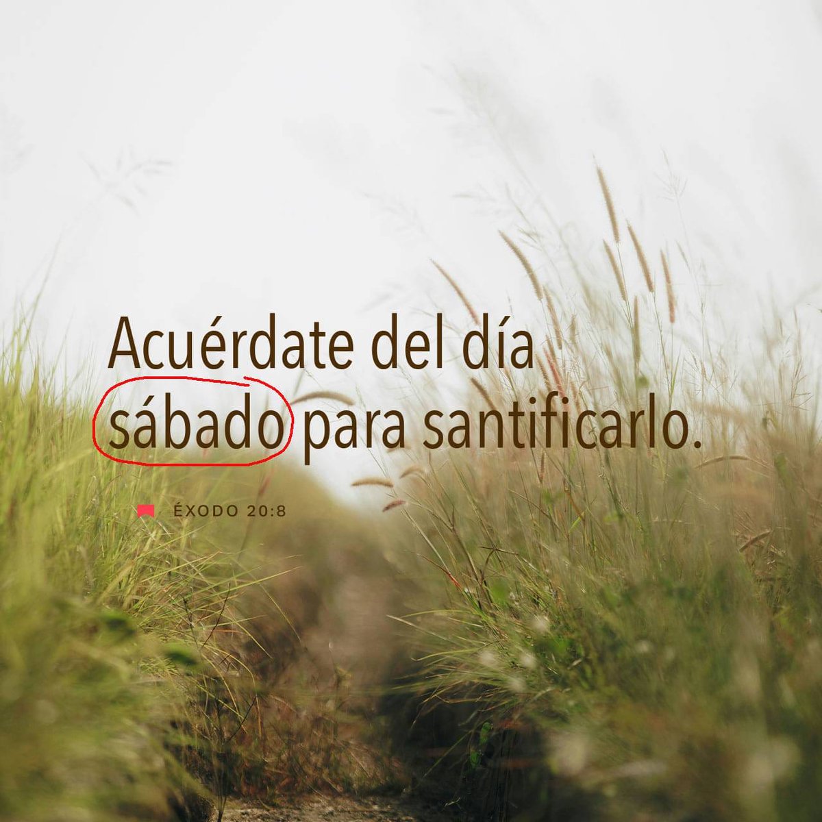 "UN TIEMPO DE INTIMIDAD PARA CON DIOS"
Sábado, 11 Enero 2025. 

MEDITACIÓN DE LA PALABRA DE DIOS: 
[8] Recuerda el día de descanso y considéralo un día santo. 
Éxodo 20:8 PDT. 
<a href="/zmllosrastrojos/">@proyectoemanuellosrastrojos</a> 
#UnTiempodeIntimidadparaconDios
#CeluBiblia
bible.com