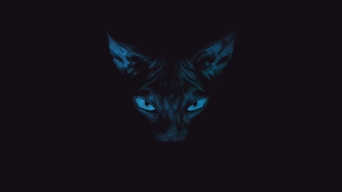 The world is a maze of illusions

#Cyberpunk2077 #VirtualPhotography