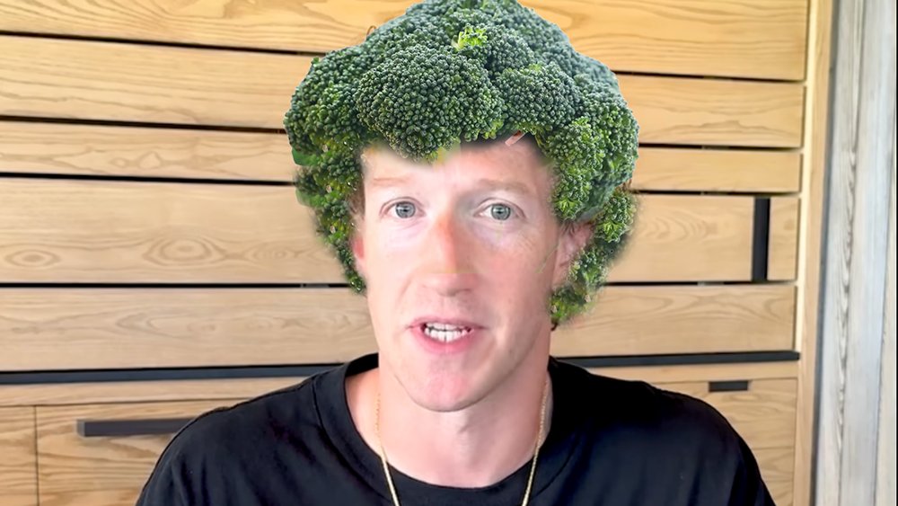 Question is when will Elon learn to reciprocate? ZuckAss seemingly switched his BotBody recently, but his carbon footprint was evidently too big, so he shoved a Teslacharger up his ass to fill up on  Green energy. After all afros are so last century! Wanna see Elon sport this: