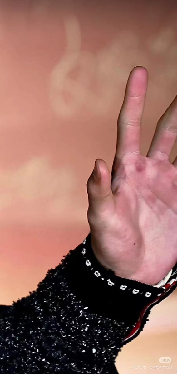 ZhanGeBoDi tweet media