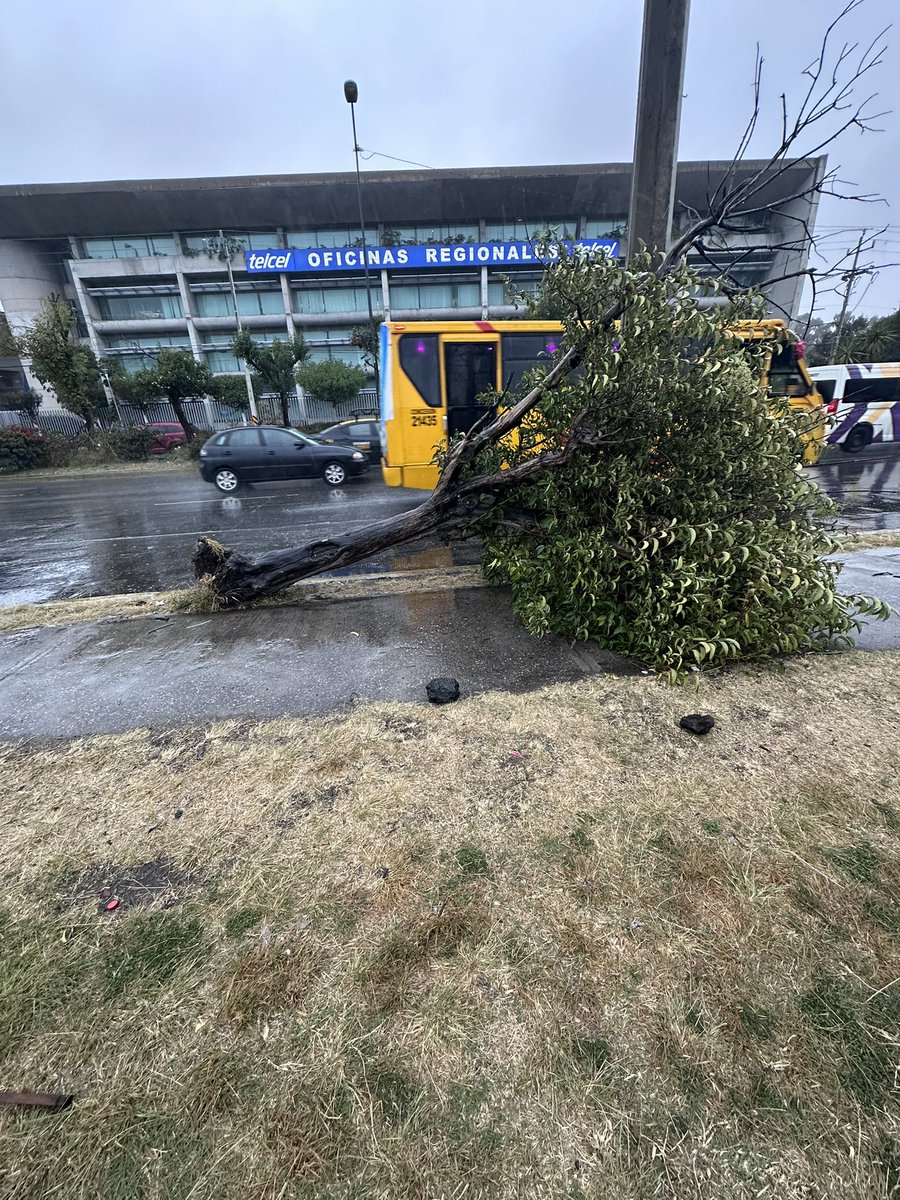 NotiPuebla94's tweet photo. Se reporta árbol caído frente a Telcel de plaza san Pedro @SSC_Pue https://t.co/JxqZauf1wn