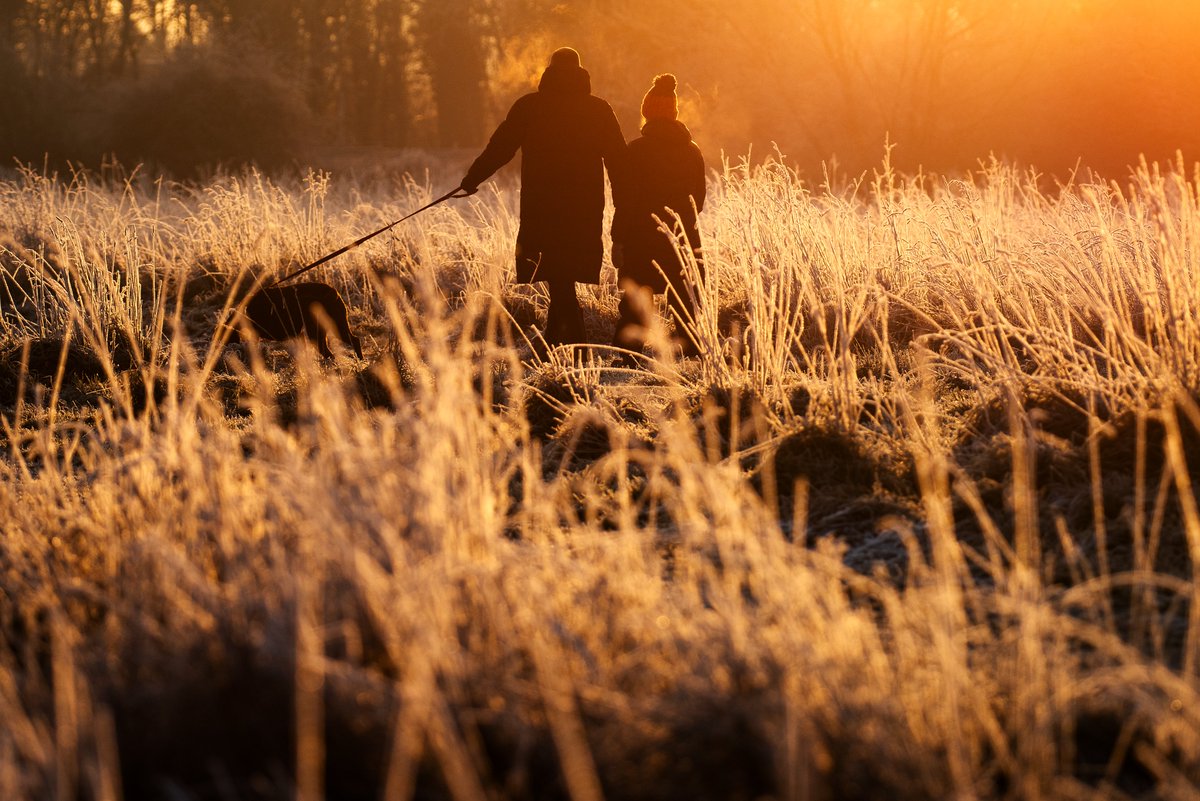A couple walk their dog at sunrise after a hard frost near Holme Pierrepont, Nottinghamshire.

📷Neil Squires/Alamy Live News 

#ukweather #stormhour