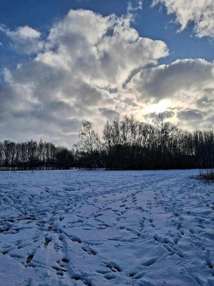 RIHANNON1967's tweet photo. 💙☃️💦🧣🕊️⛸️🧤🐧💨🧦❄️☕🧥💙☃️💦🧣🕊️⛸️🧤🐧💨🧦❄️☕☃️💙

⭐😘  Bon  Week-end !   💫
⭐😘  Buon  Fine Settimana  !  💫
⭐😘  Good  Weekend !  💫

📸 Autour de Valenciennes. Nord de la France. https://t.co/g96jDVatv4